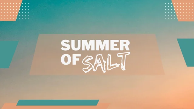 Chasing The Endless Summer artwork